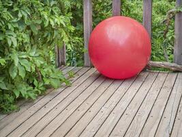 schweizerisch Übung Ball im ein Hinterhof Terrasse foto