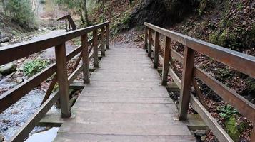 Landschaft eines Gebirgsflusses im Wald im Frühherbst und im Spätsommer. Wasser in einem natürlichen Bach. schöner und entspannender Wald mit einem Fluss. Fluss tief im Bergwald. Natur Zusammensetzung. foto