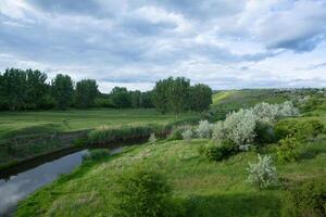 schön Sommer- Landschaft mit Grün Bäume, Grün Wiesen auf das Bank von das Fluss im Republik von Moldawien. foto