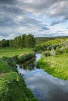 schön Sommer- Landschaft mit Grün Bäume, Grün Wiesen auf das Bank von das Fluss im Republik von Moldawien. foto