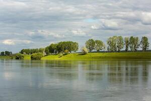 schön Sommer- Landschaft mit Grün Bäume, Grün Wiesen auf das Bank von das Fluss im Republik von Moldawien. foto