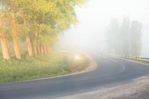 sehr schön Landschaft mit Nebel und Grün Natur im das Republik von Moldawien. ländlich Natur im östlichen Europa foto