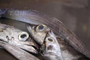 frisch Fisch Meeresfrüchte beim ortigia Syrakus Sizilien Fisch Markt Italien foto