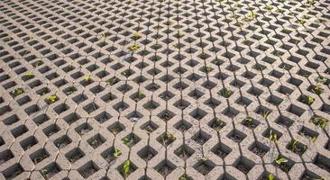 Hintergrund von Pflastersteinen, durch die Gras sprießt. Steinfliesen auf dem Bürgersteig. Fußweg. strukturierter gemusterter Hintergrund. umweltfreundlicher Belag - Rasengitter aus Beton. foto