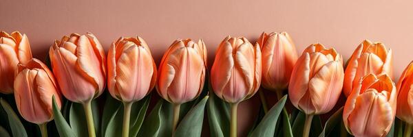 ein Reihe von Orange Tulpen mit Grün Blätter. das Blumen sind vereinbart worden im ein Linie und sind von variieren Höhen. foto