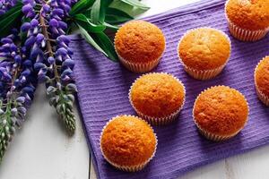 frisch gebacken Muffins und lila Lupinen auf Weiß hölzern Hintergrund. foto