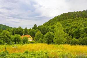 wunderschöne berg- und waldlandschaft mit idyllischem dorf in slowenien. foto