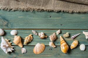 Vielfalt von Meer Muscheln auf ein hölzern Hintergrund foto