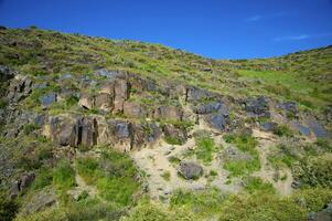 Petroglyphen innerhalb das archäologisch Landschaft von tamgaly. Almatie Bereich, Kasachstan foto