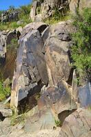 Petroglyphen innerhalb das archäologisch Landschaft von tamgaly. Almatie Bereich, Kasachstan foto