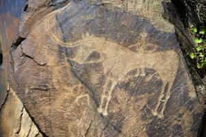 Petroglyphen innerhalb das archäologisch Landschaft von tamgaly. Almatie Bereich, Kasachstan foto