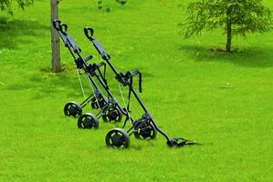 Spiel im das Golf Verein gegen das Hintergrund von das Grün saftig Gras foto