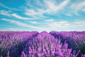 ai generiert Lavendel Feld mit Sommer- Blau Himmel schließen oben Frankreich retro getönt Netz bwnner Format Lavendel foto