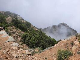 atemberaubend natürlich Schönheit von abha im Saudi Arabien im das Sommer- Jahreszeit. hoch Berge, Grün, niedrig Wolken und Nebel sind das Schönheit von abha. foto