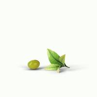 realistische grüne Oliven auf einem Zweig isolierten weißen Hintergrund. 3D-Darstellung, passend für Ihr Designprojekt. foto
