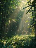 Sonnenlicht Gießen Schatten durch ein Bambus Wald foto