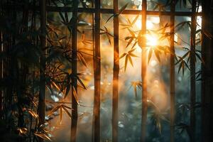 Sonnenlicht Gießen Schatten durch ein Bambus Wald foto