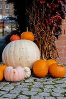 Außen schön gemütlich atmosphärisch Halloween Kürbisse dekoriert auf Veranda. Herbst Blätter und fallen Blumen Feier Urlaub das Erntedankfest Oktober Jahreszeit draußen im Stadt foto