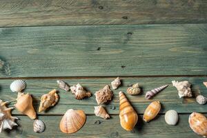 Vielfalt von Meer Muscheln auf ein hölzern Hintergrund foto