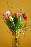 Frühling Hintergrund mit Blumen. schön bunt Tulpe auf ein sonnig Tag. Natur Fotografie im Frühling Zeit. foto