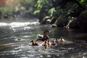 Familie von Enten Schwimmen im Teich, Entenküken folgenden eng hinter, charmant Szene von Tierwelt foto