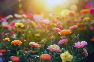 beschwingt Blumen Blühen im Garten, Einweichen oben das Sommer- Sonnenschein foto