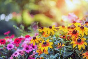 beschwingt Blumen Blühen im Garten, Einweichen oben das Sommer- Sonnenschein foto