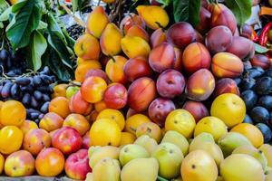 bunt Array von frisch Früchte beim Landwirte Markt, Sprengung mit Aromen von das Sommer- Ernte foto