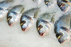 frisch Fisch auf Eis dekoriert zum Verkauf beim Markt foto