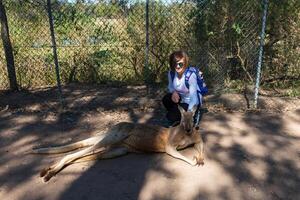 schön Mädchen mit Känguru im das National Park, Brisbane, Australien foto