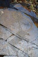 Petroglyphen innerhalb das archäologisch Landschaft von tamgaly. Almatie Bereich, Kasachstan foto