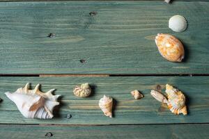 Vielfalt von Meer Muscheln auf ein hölzern Hintergrund foto