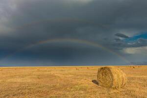 Feld nach das Ernte foto