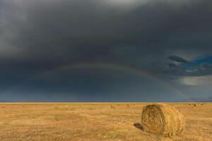 Feld nach das Ernte foto