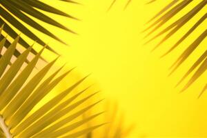 Palme Blätter Hintergrund. Gelb Sommer- Palme Blätter Schatten Hintergrund. ai generiert foto