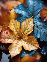 bunt Herbst Blätter mit Wasser Tröpfchen auf Sie generativ ai foto