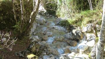 Wasserlauf im das Dolomiten foto