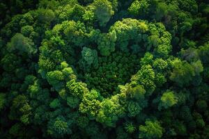 Drohne Aussicht zu Wald im gestalten von Herz. Ökologie, Natur Schutz, Biodiversität und Klima Veränderung foto