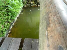 Bild von ein Wasser Teich mit Lotus Pflanzen über Es. das Schwimmbad hat ein schön Aussicht mit Schatten von Objekte und Pflanzen auf das Wasser foto