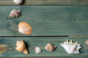 Vielfalt von Meer Muscheln auf ein hölzern Hintergrund foto