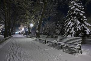 Winter Stadt Park foto