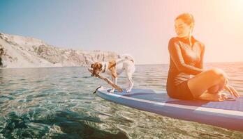 Meer Frau sup. Silhouette von glücklich positiv jung Frau mit ihr Hund, Surfen auf sup Tafel durch Ruhe Wasser Oberfläche. idyllisch Sonnenuntergang. aktiv Lebensstil beim Meer oder Fluss. Sommer- Ferien mit Haustiere. foto