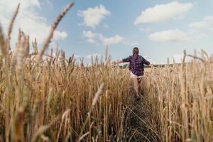 Frau Weizen Feld. Agronom, Frau Farmer prüfen golden reif Gerste Spikes im kultiviert Feld. Nahansicht von weiblich Hand auf Plantage im landwirtschaftlich Ernte Verwaltung Konzept. schleppend Bewegung foto