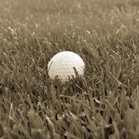 Spiel im das Golf Verein gegen das Hintergrund von das Grün saftig Gras foto