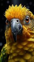 Papagei reden Vogel Tier Clever Tierwelt foto