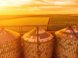 modern Metall Silos auf Agro-Verarbeitung und Herstellung Pflanze. Antenne Aussicht von Getreidespeicher Aufzug wird bearbeitet Trocknen Reinigung und Lager von landwirtschaftlich Produkte, Mehl, Getreide und Getreide. niemand. foto