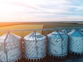 modern Metall Silos auf Agro-Verarbeitung und Herstellung Pflanze. Antenne Aussicht von Getreidespeicher Aufzug wird bearbeitet Trocknen Reinigung und Lager von landwirtschaftlich Produkte, Mehl, Getreide und Getreide. niemand. foto