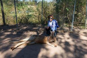 schön Mädchen mit Känguru im das National Park, Brisbane, Australien foto