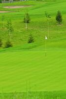 Spiel im das Golf Verein gegen das Hintergrund von das Grün saftig Gras foto