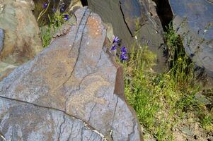 Petroglyphen innerhalb das archäologisch Landschaft von tamgaly. Almatie Bereich, Kasachstan foto